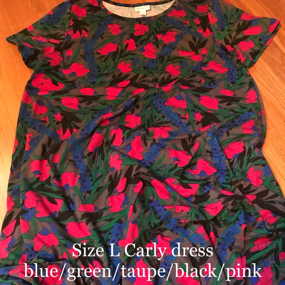 Lularoe Carly Dress - size L